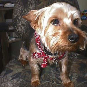 Meet your Posher, Nancey